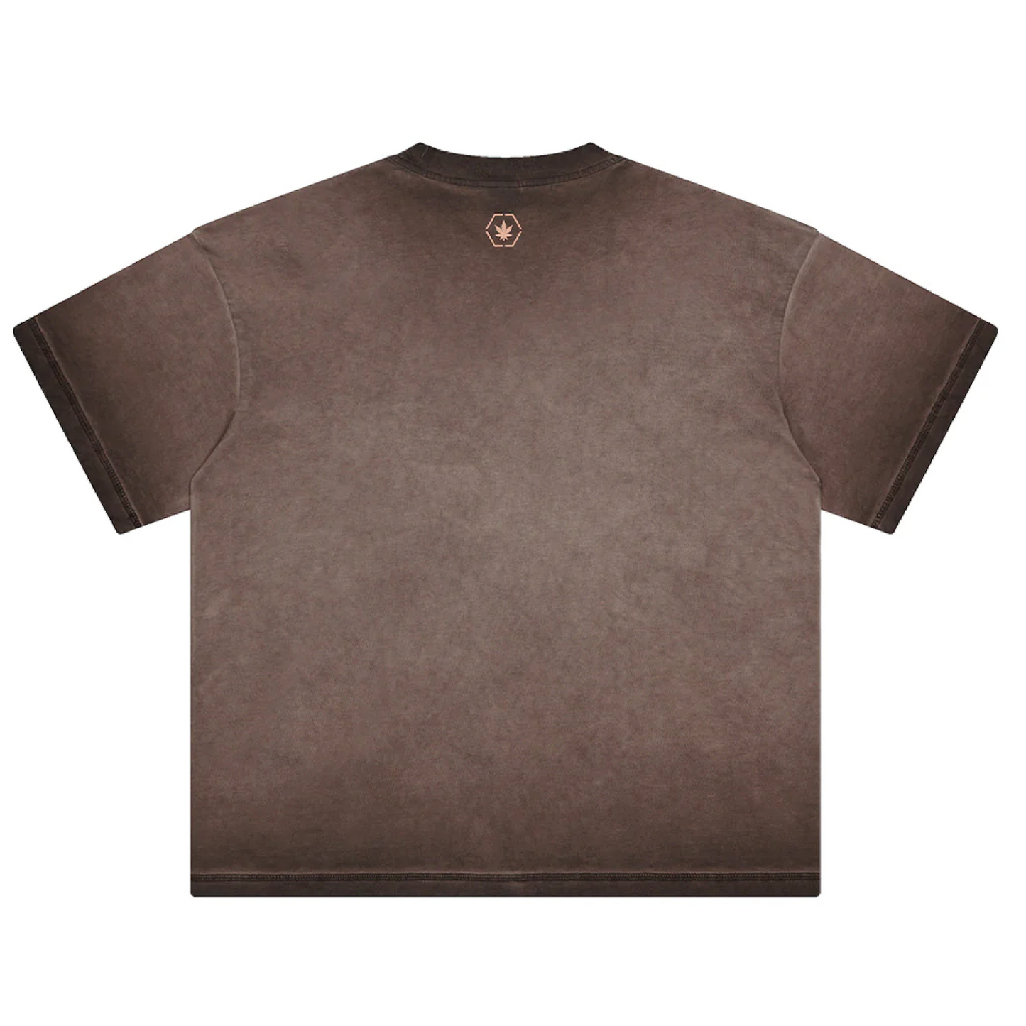 Stoned Euphoria | Washed Tee Brown